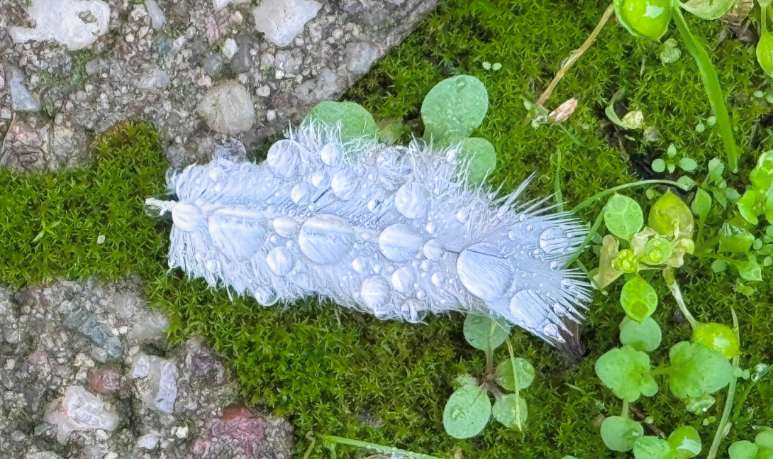 Beitragsbild - Link zur Veranstaltung